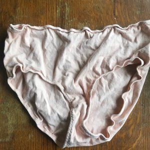 Pansy co High Waisted Underwear in Rose